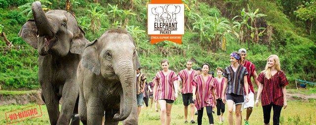 Elephant Jungle Sanctuary Phuket Offices